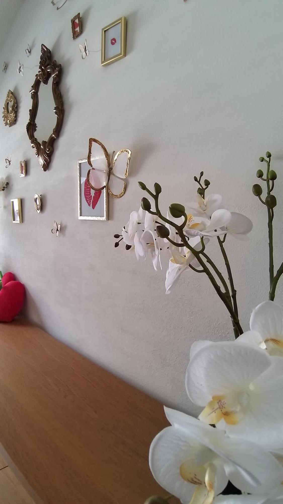 Wellness Loft With Sauna, Jacuzzi, Roof Terrace & Amazing View Antuérpia Exterior foto