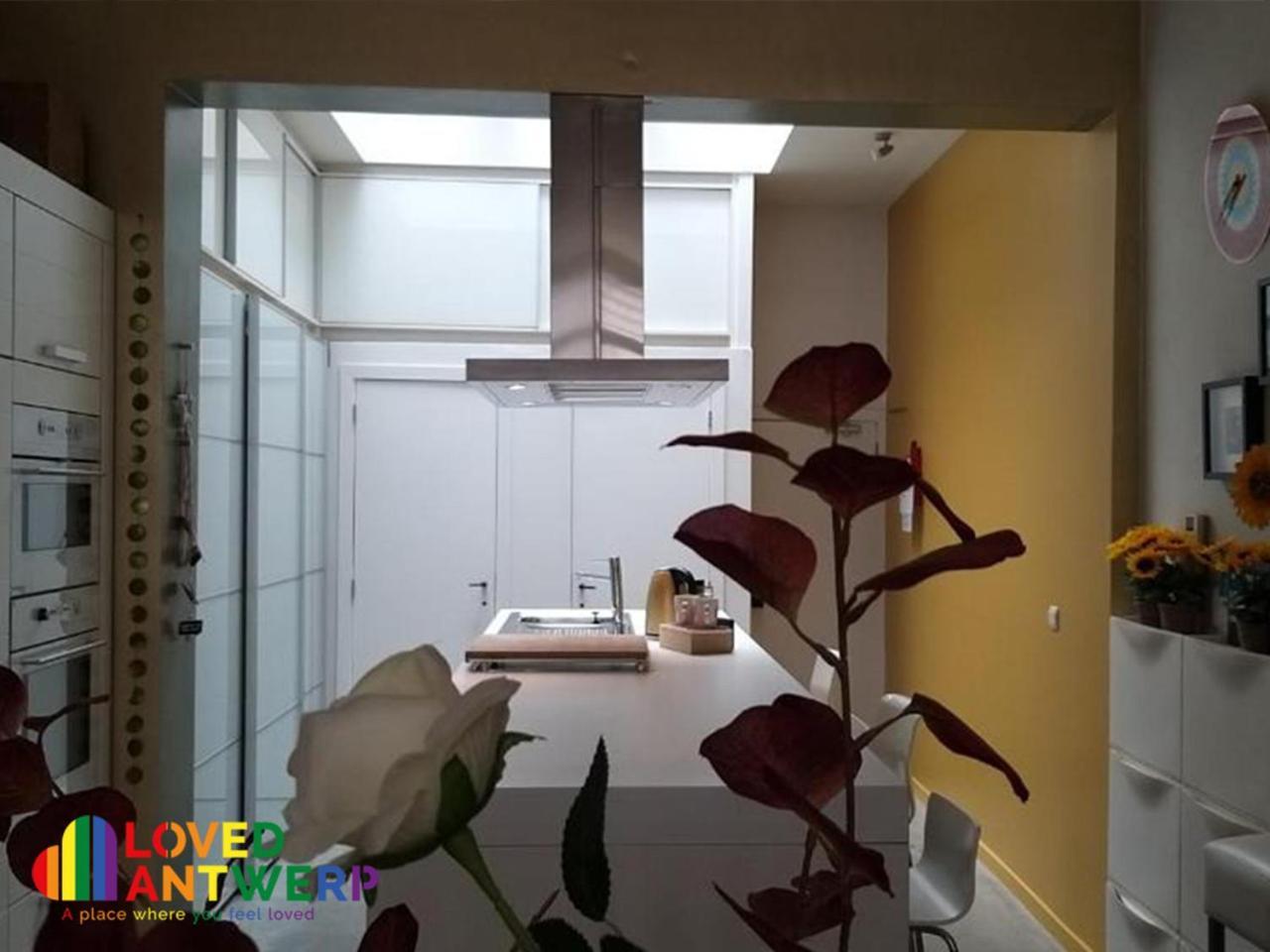 Wellness Loft With Sauna, Jacuzzi, Roof Terrace & Amazing View Antuérpia Exterior foto
